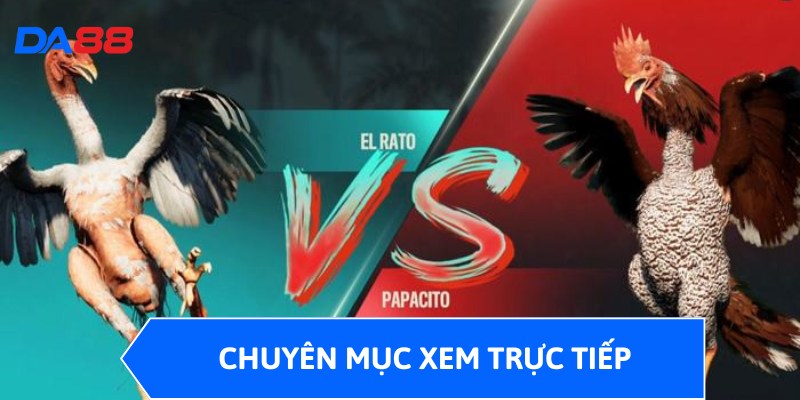 Chuyên mục xem trực tiếp